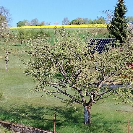 Pension Schmitt Waldfenster ภายนอก รูปภาพ