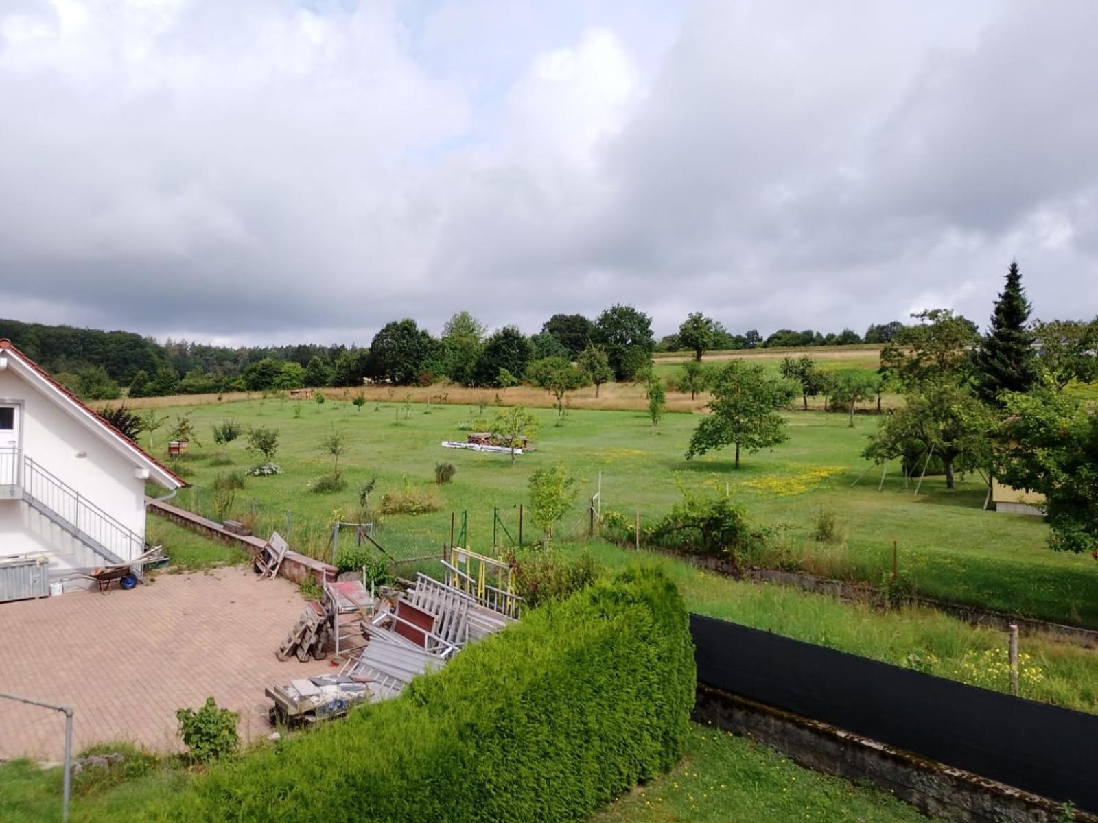 Pension Schmitt Waldfenster ภายนอก รูปภาพ
