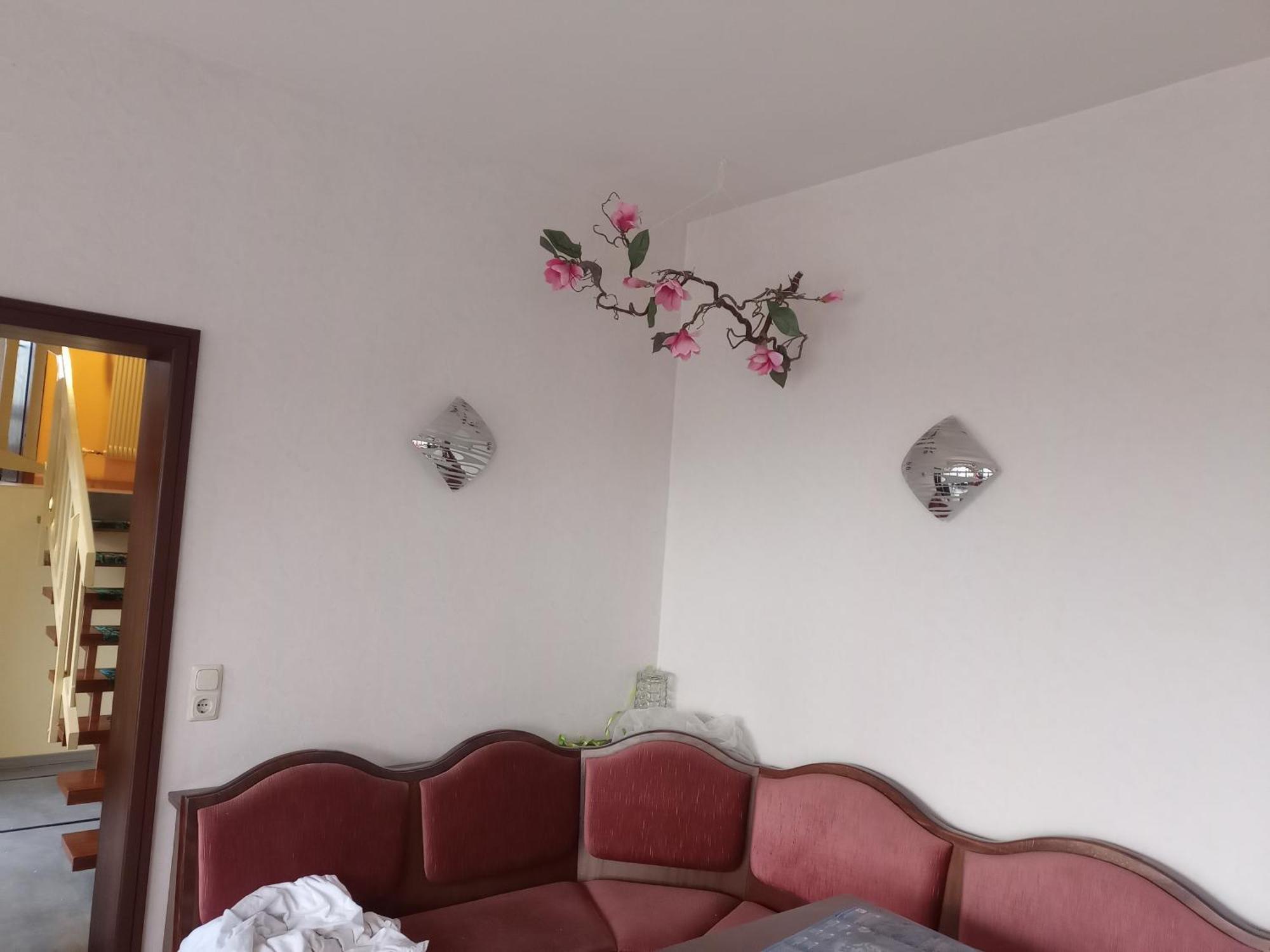 Pension Schmitt Waldfenster ภายนอก รูปภาพ
