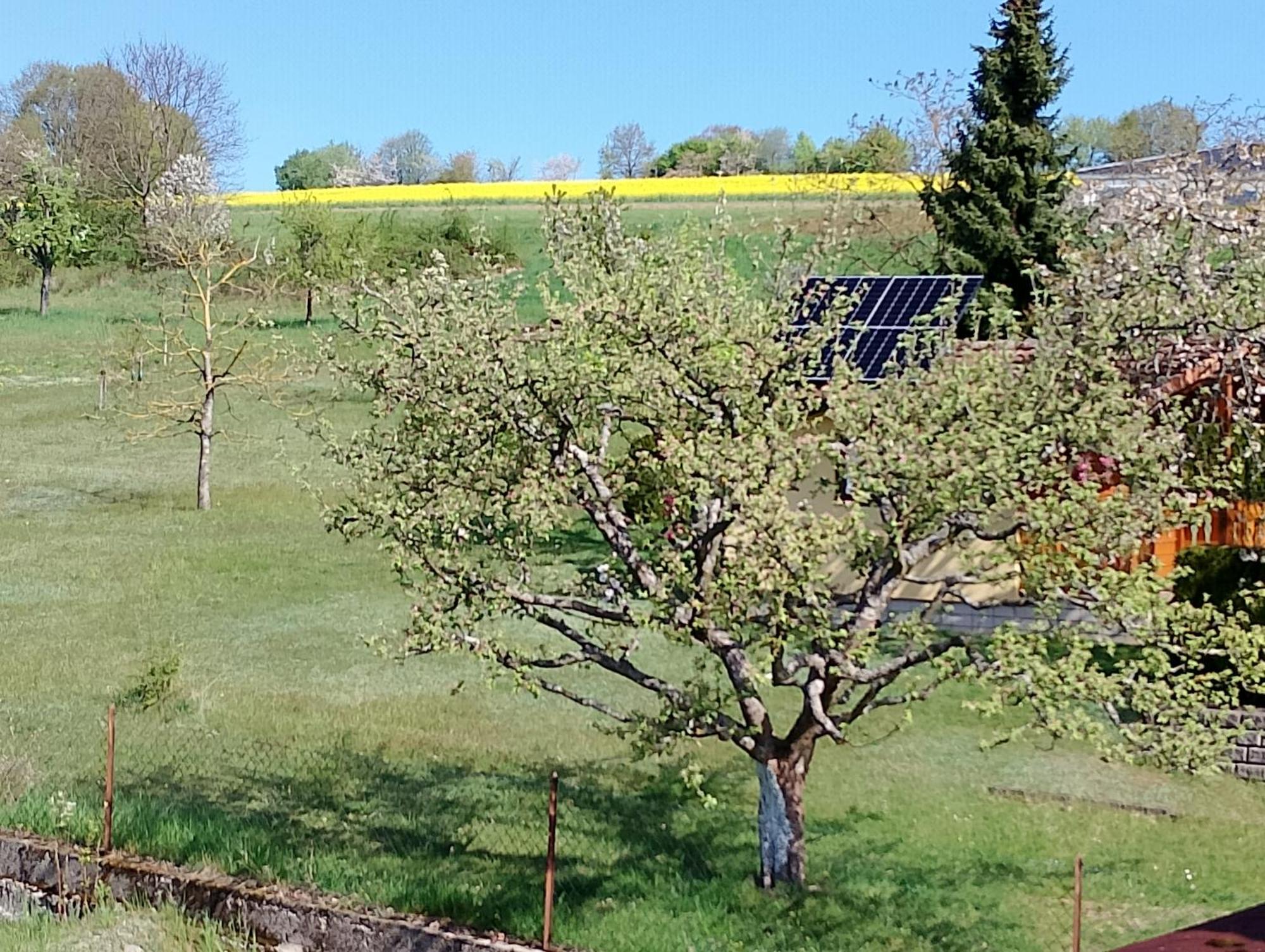 Pension Schmitt Waldfenster ภายนอก รูปภาพ
