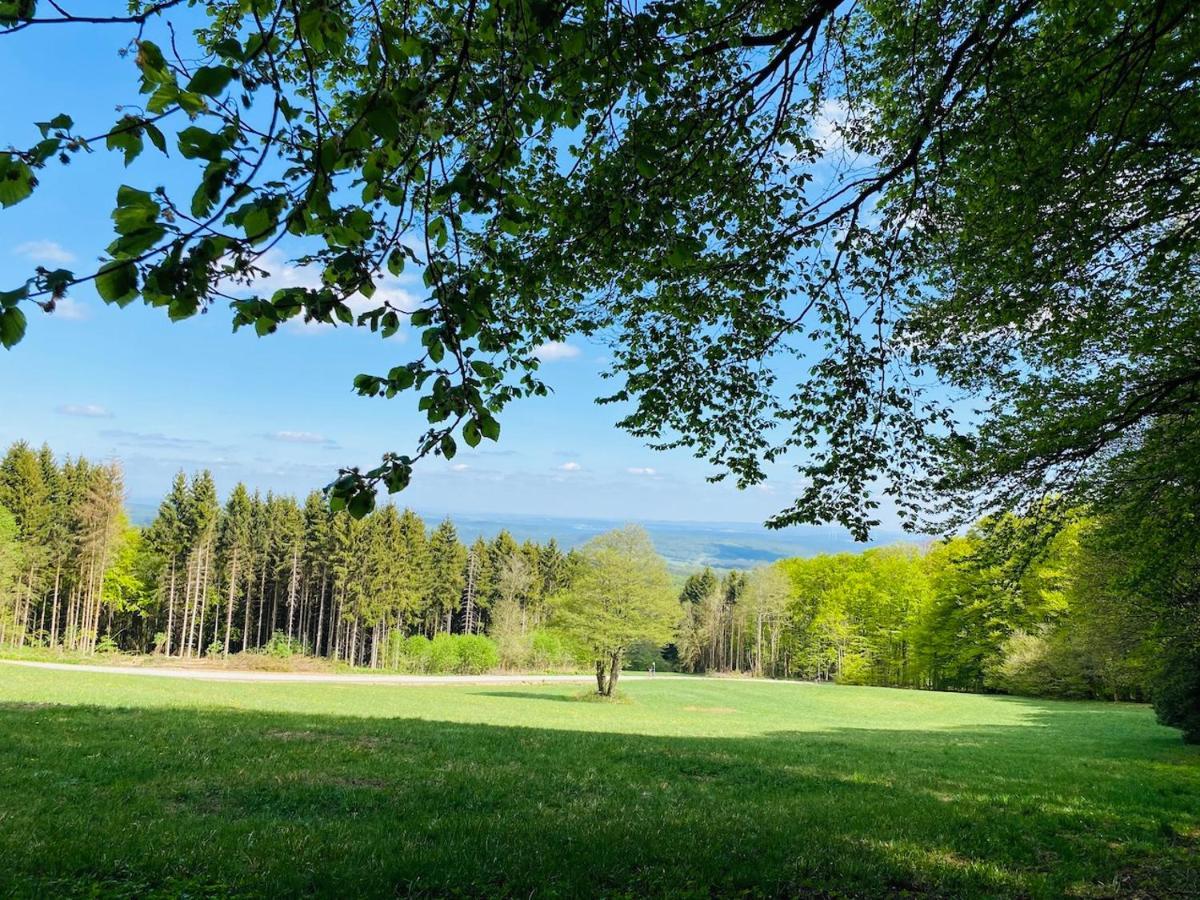 Pension Schmitt Waldfenster ภายนอก รูปภาพ