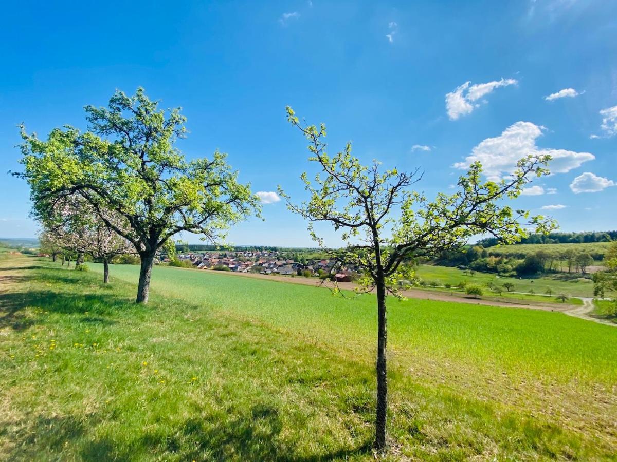 Pension Schmitt Waldfenster ภายนอก รูปภาพ