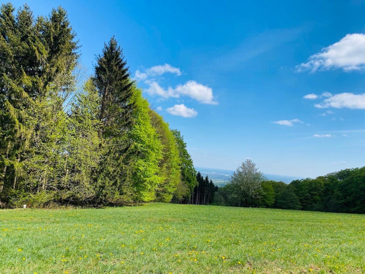 Pension Schmitt Waldfenster ภายนอก รูปภาพ
