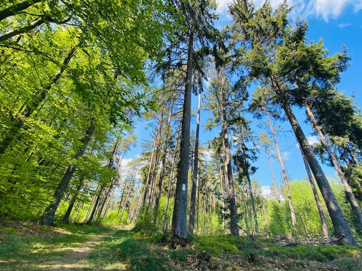 Pension Schmitt Waldfenster ภายนอก รูปภาพ